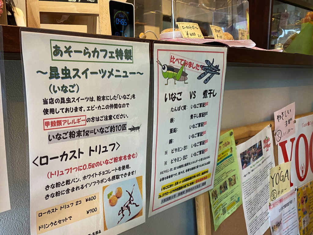 昆虫スイーツ｜鶴見区の体験型コミュニティアソーラカフェ